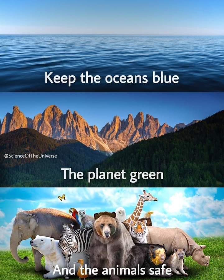 quotes quotes
