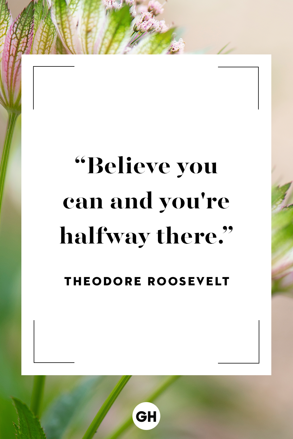 quotes quotes